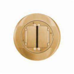 HUBW S1CFCBRS FRPT, CARPET FLNG. SYSTEM 1, BRASS