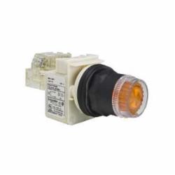 SQD 9001SK2L1A PUSHBUTTON OPERATOR 30MM SK +OPTIONS