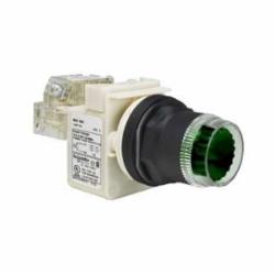 SQD 9001SK2L1G20 PUSHBUTTON OPERATOR 30MM SK +OPTIONS