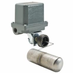 Schneider Electric 9038CW34Z20 FLOAT SWITCH 575VAC 1HP TYPE C +OPTIONS,-22...220 deg.F,4...7.75 in adjustable,closed tank with bushing,mechanical alternator,mechanically alternating the operation of two pumps or motors,screw-in bushing