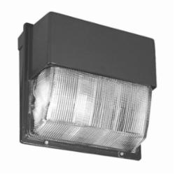 LITH TWH250MTBSCWALPI 250W MH Glass Lens, Large Wall-Pack with Multi-Tap Pulse Start Ballast, Lamp Included
