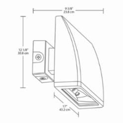 RAB WPLEDFC104 104W WLPK LT FX