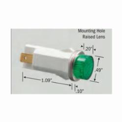 SEL-SW SL53423-6-BG NEON INDCTR LT