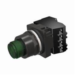 SIEMENS 52BT6D3AB PTT/ILL PB NEMA4X FV 24V GRN NO-NC LED